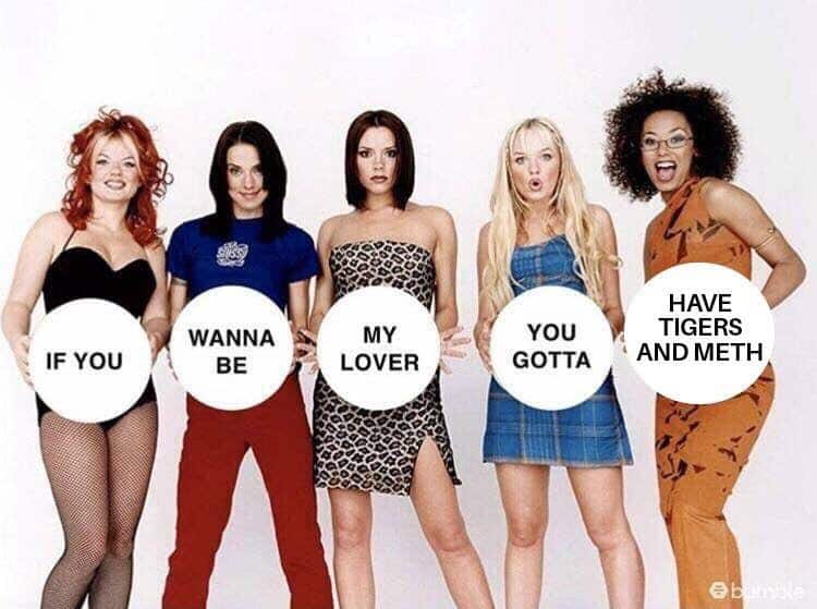 Spice Girls if you want to be my lover tiger king meme