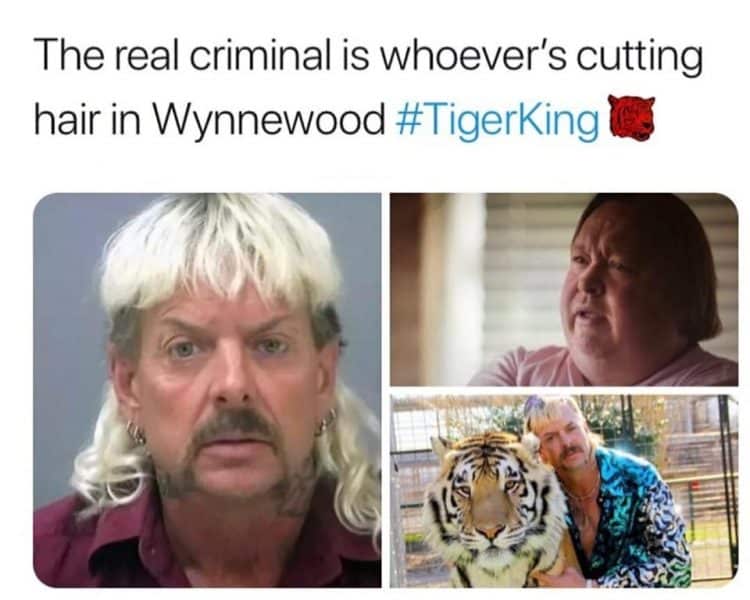 hair cuts in tiger king meme