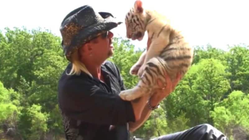 Joe Exotic and baby tiger: the tiger king memes you need for 2020