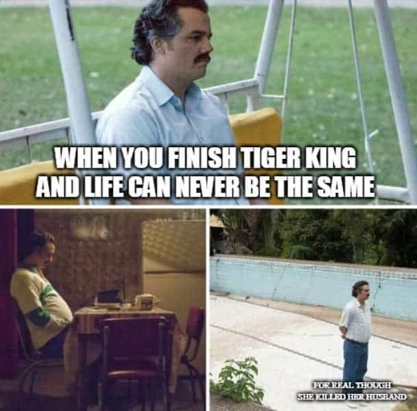 pablo escobar tiger king meme
