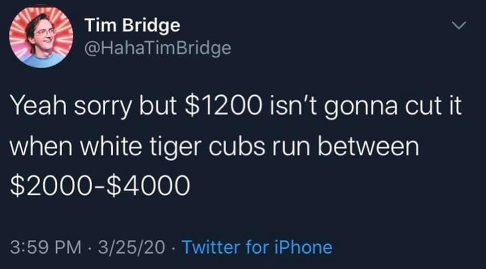tiger king memes stimulus check