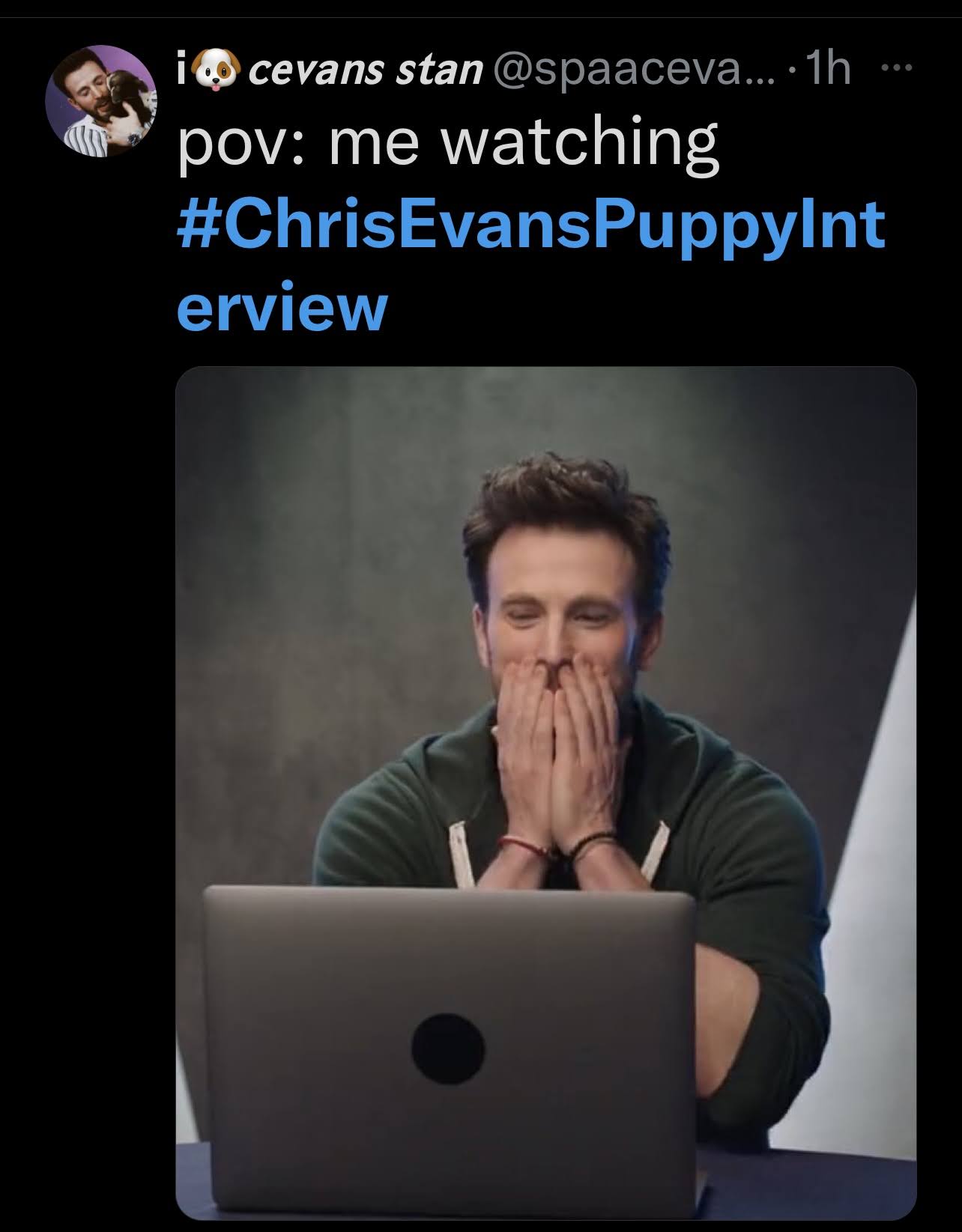 me watching the chris evans puppy interview memes