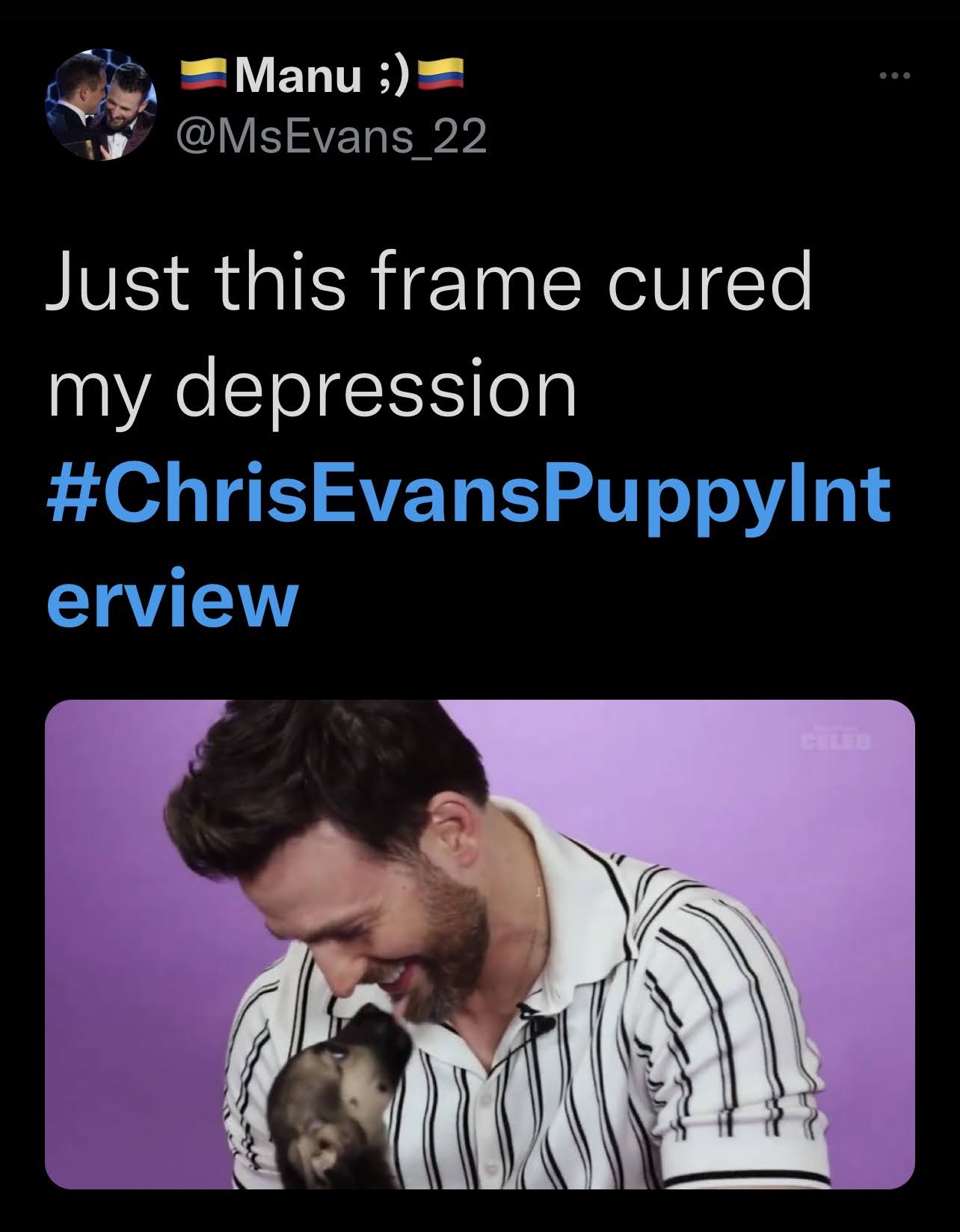 chris evans puppy interview memes